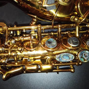 Darron McKinney Demon Chaser 30 Series Curve Dark Honey Gold Plated Professional Soprano Saxophone