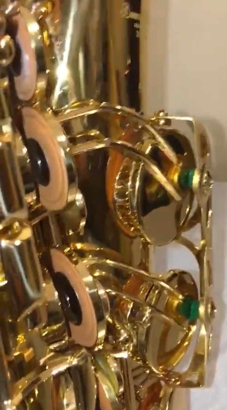 Darron McKinney Demon Chaser 30 Series Gold Plated Professional Alto Saxophone